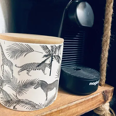 Le Jungle En Plein Coeur De Nimes