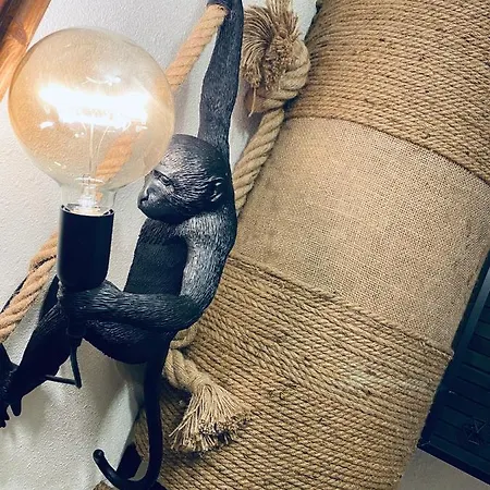 Le Jungle En Plein Coeur De Apartment Nimes