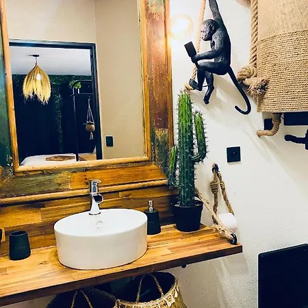 Apartment Le Jungle En Plein Coeur De Nimes